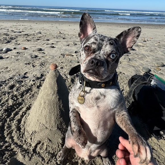 Meet your Posher, Alyssa - Picture 2 of 4